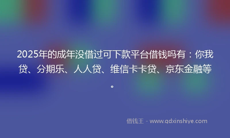 2025年的成年没借过可下款平台借钱吗有：你我贷、分期乐、人人贷、维信卡卡贷、京东金融等。