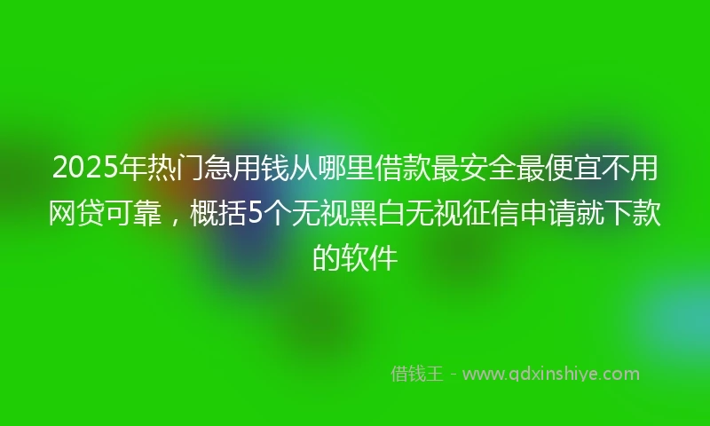 2025年热门急用钱从哪里借款最安全最便宜不用网贷可靠，概括5个无视黑白无视征信申请就下款的软件