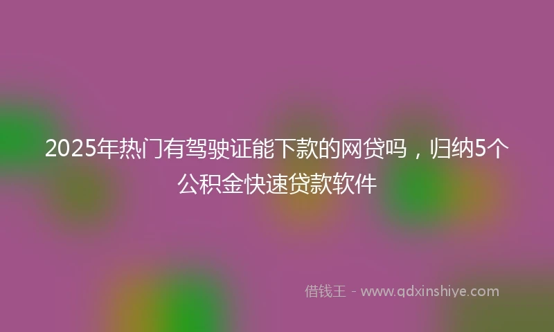 2025年热门有驾驶证能下款的网贷吗，归纳5个公积金快速贷款软件