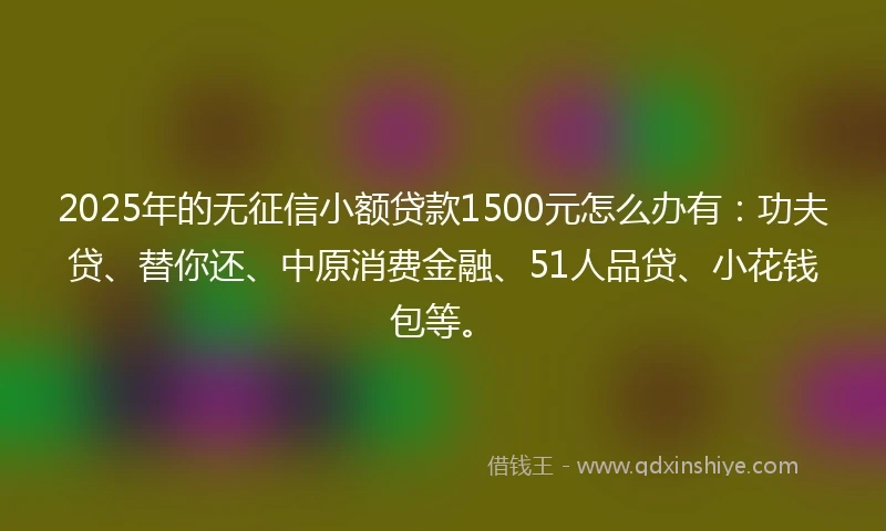 2025年的无征信小额贷款1500元怎么办有：功夫贷、替你还、中原消费金融、51人品贷、小花钱包等。