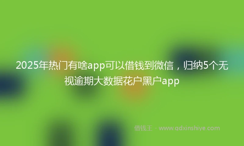 2025年热门有啥app可以借钱到微信，归纳5个无视逾期大数据花户黑户app
