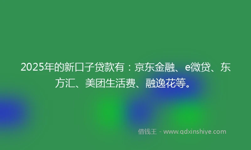 2025年的新口子贷款有：京东金融、e微贷、东方汇、美团生活费、融逸花等。