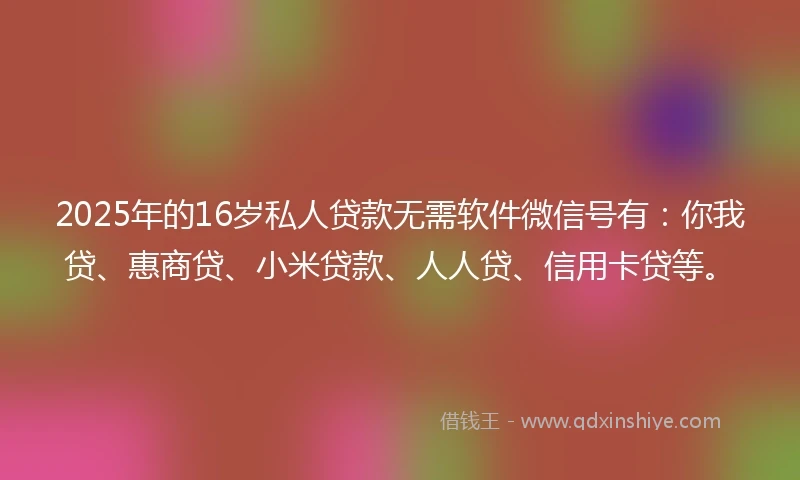 2025年的16岁私人贷款无需软件微信号有：你我贷、惠商贷、小米贷款、人人贷、信用卡贷等。