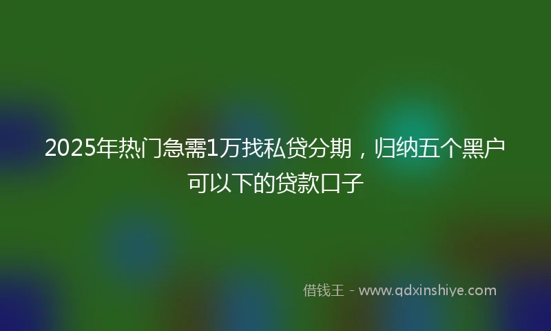 2025年热门急需1万找私贷分期，归纳五个黑户可以下的贷款口子