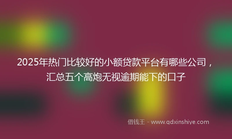 2025年热门比较好的小额贷款平台有哪些公司，汇总五个高炮无视逾期能下的口子