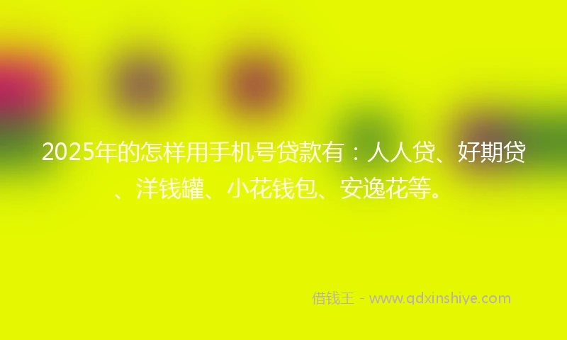2025年的怎样用手机号贷款有：人人贷、好期贷、洋钱罐、小花钱包、安逸花等。