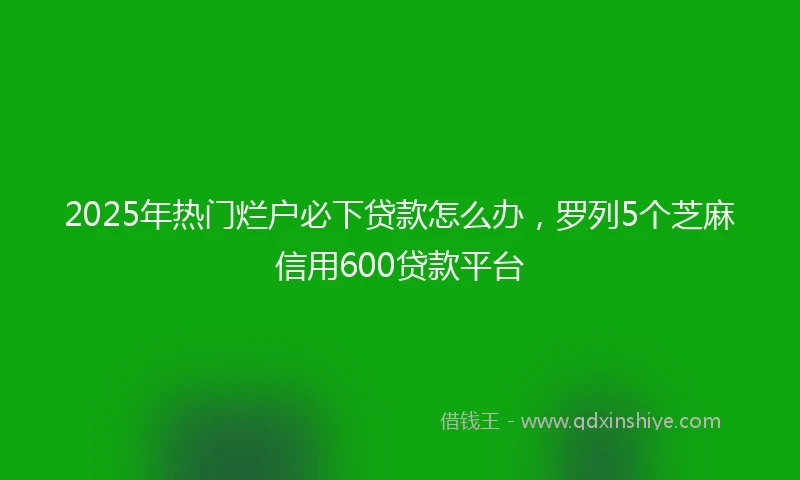 2025年热门烂户必下贷款怎么办，罗列5个芝麻信用600贷款平台