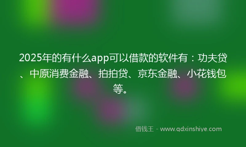2025年的有什么app可以借款的软件有：功夫贷、中原消费金融、拍拍贷、京东金融、小花钱包等。