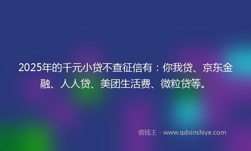 2025年的千元小贷不查征信有：你我贷、京东金融、人人贷、美团生活费、微粒贷等。