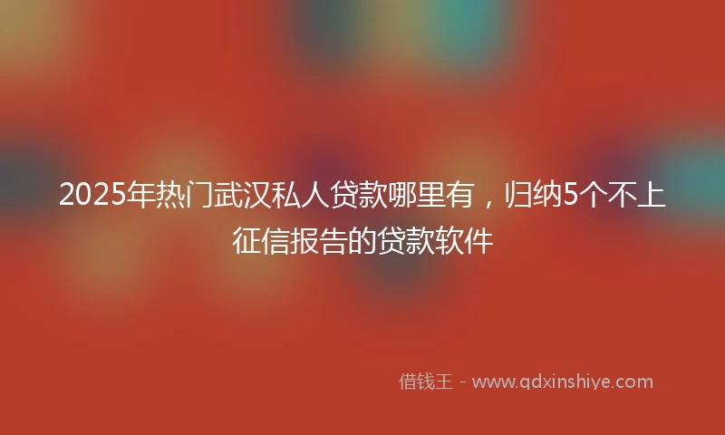 2025年热门武汉私人贷款哪里有，归纳5个不上征信报告的贷款软件