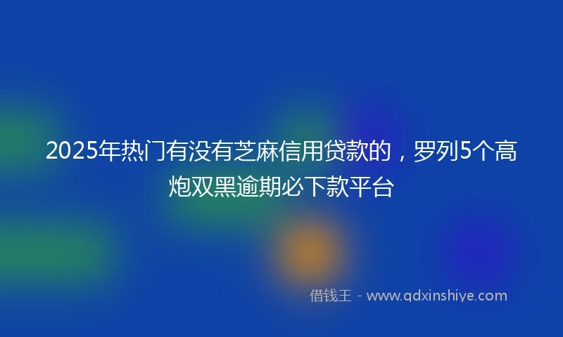 2025年热门有没有芝麻信用贷款的，罗列5个高炮双黑逾期必下款平台