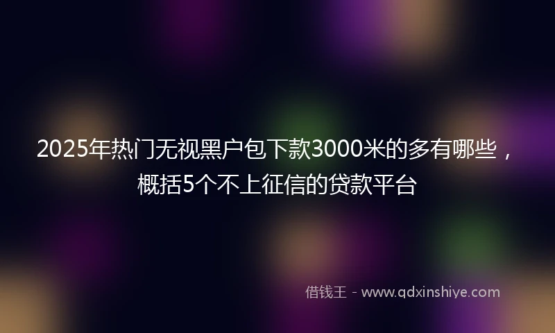 2025年热门无视黑户包下款3000米的多有哪些，概括5个不上征信的贷款平台