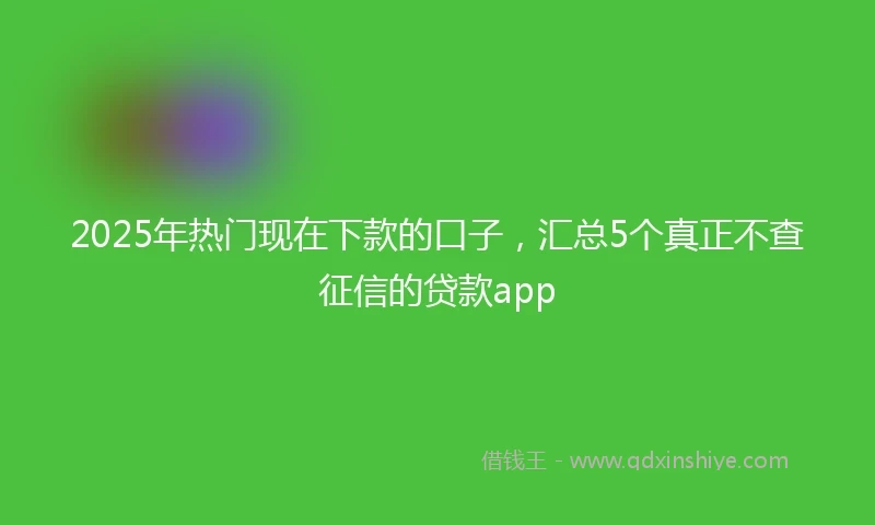 2025年热门现在下款的口子，汇总5个真正不查征信的贷款app
