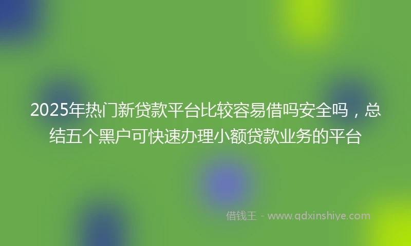 2025年热门新贷款平台比较容易借吗安全吗，总结五个黑户可快速办理小额贷款业务的平台