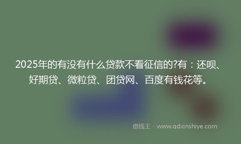 2025年的有没有什么贷款不看征信的?有：还呗、好期贷、微粒贷、团贷网、百度有钱花等。
