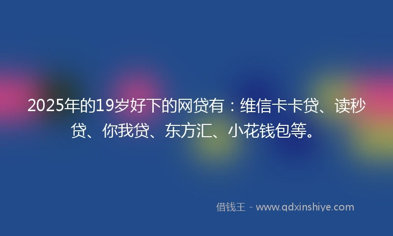 2025年的19岁好下的网贷有：维信卡卡贷、读秒贷、你我贷、东方汇、小花钱包等。