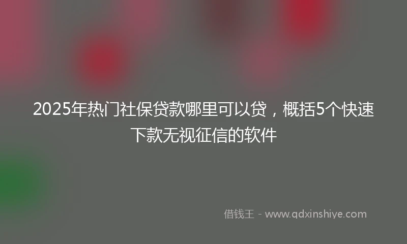 2025年热门社保贷款哪里可以贷,概括5个快速下款无视征信的软件