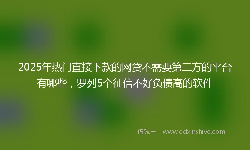 2025年热门直接下款的网贷不需要第三方的平台有哪些，罗列5个征信不好负债高的软件