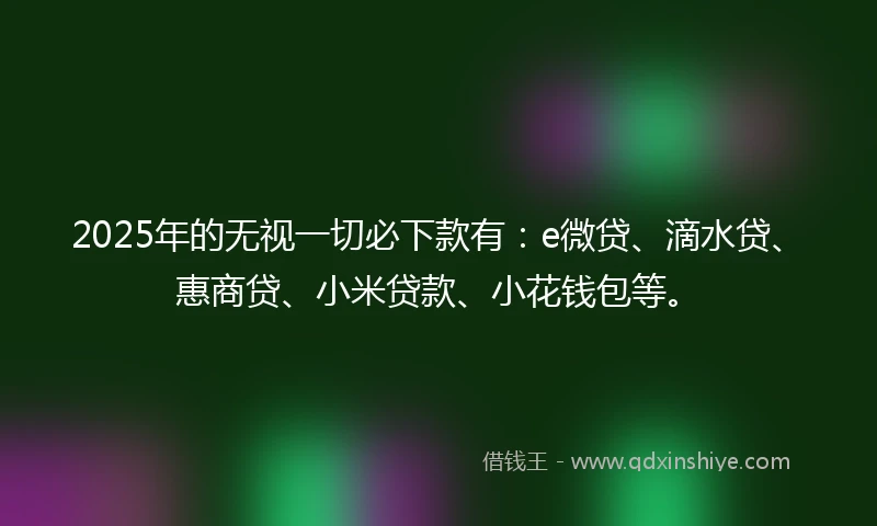 2025年的无视一切必下款有：e微贷、滴水贷、惠商贷、小米贷款、小花钱包等。