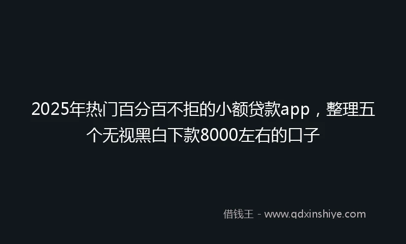 2025年热门百分百不拒的小额贷款app，整理五个无视黑白下款8000左右的口子