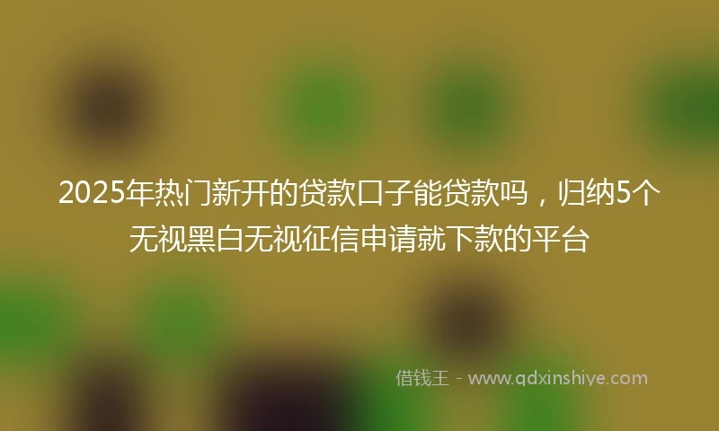 2025年热门新开的贷款口子能贷款吗，归纳5个无视黑白无视征信申请就下款的平台