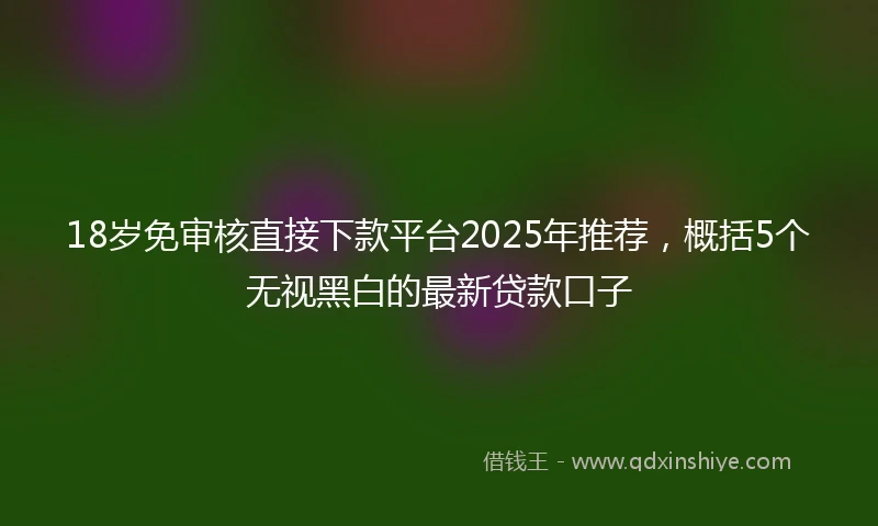 18岁免审核直接下款平台2025年推荐，概括5个无视黑白的最新贷款口子