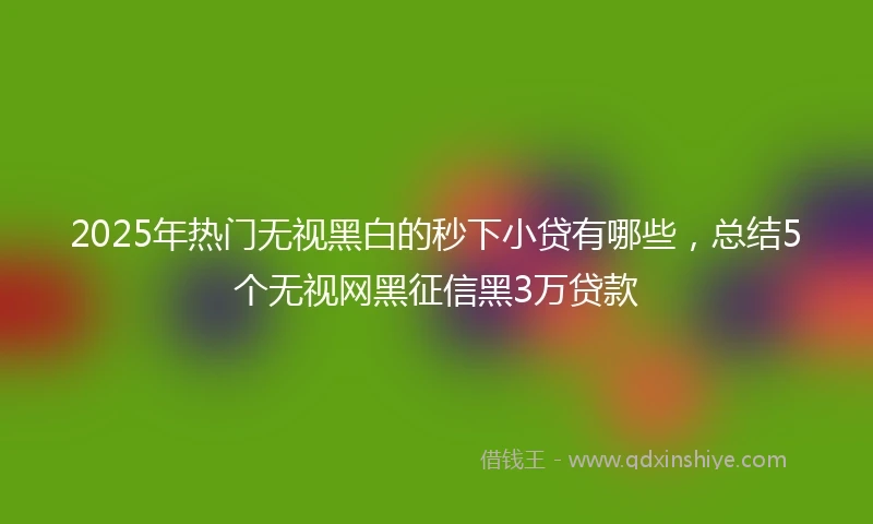 2025年热门无视黑白的秒下小贷有哪些，总结5个无视网黑征信黑3万贷款