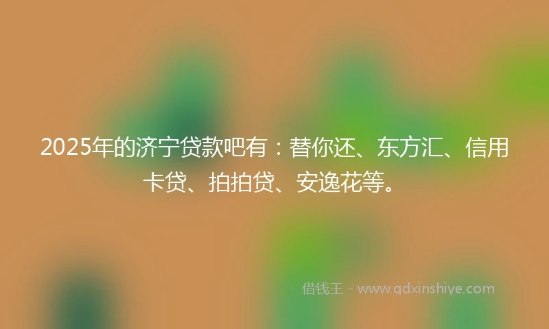2025年的济宁贷款吧有：替你还、东方汇、信用卡贷、拍拍贷、安逸花等。