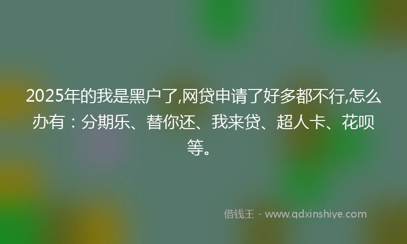 2025年的我是黑户了,网贷申请了好多都不行,怎么办有：分期乐、替你还、我来贷、超人卡、花呗等。