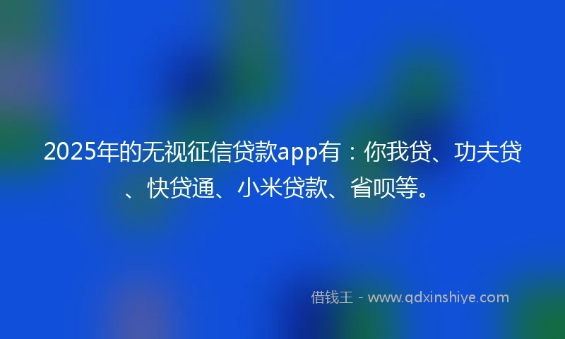 2025年的无视征信贷款app有：你我贷、功夫贷、快贷通、小米贷款、省呗等。