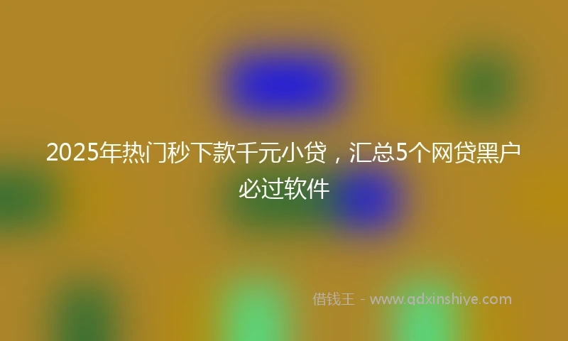 2025年热门秒下款千元小贷，汇总5个网贷黑户必过软件
