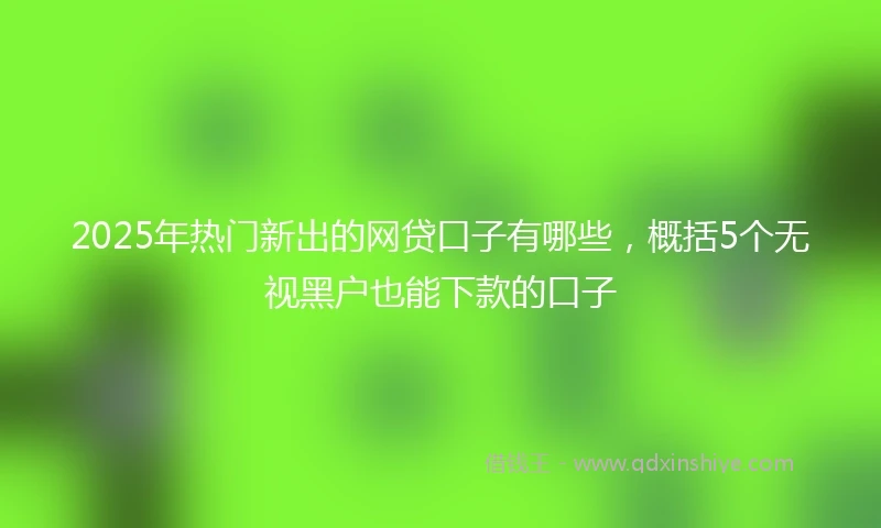 2025年热门新出的网贷口子有哪些，概括5个无视黑户也能下款的口子