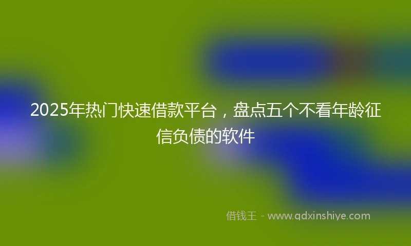 2025年热门快速借款平台，盘点五个不看年龄征信负债的软件