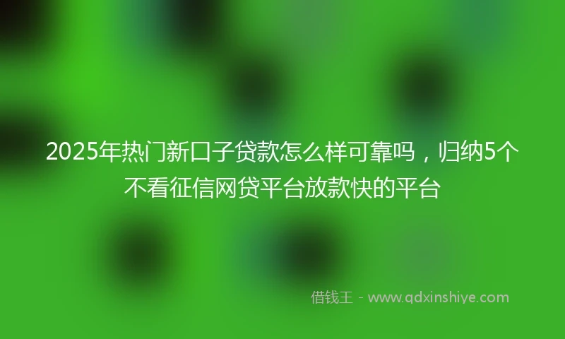 2025年热门新口子贷款怎么样可靠吗，归纳5个不看征信网贷平台放款快的平台