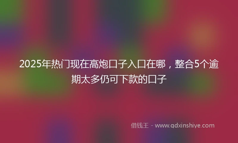 2025年热门现在高炮口子入口在哪，整合5个逾期太多仍可下款的口子