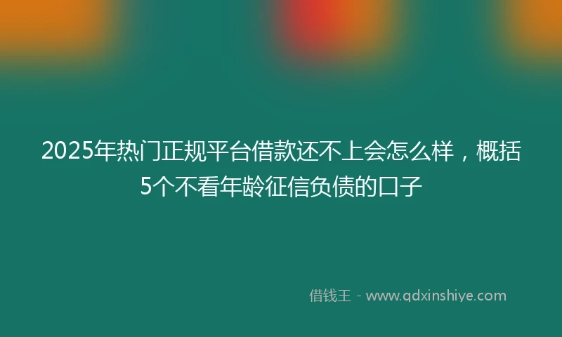 2025年热门正规平台借款还不上会怎么样，概括5个不看年龄征信负债的口子