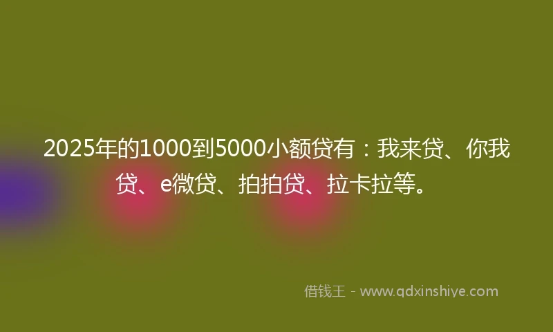 2025年的1000到5000小额贷有：我来贷、你我贷、e微贷、拍拍贷、拉卡拉等。