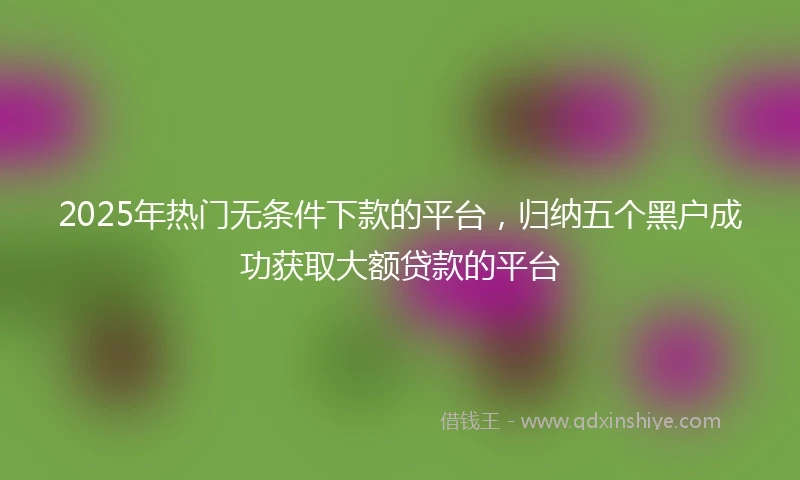 2025年热门无条件下款的平台，归纳五个黑户成功获取大额贷款的平台