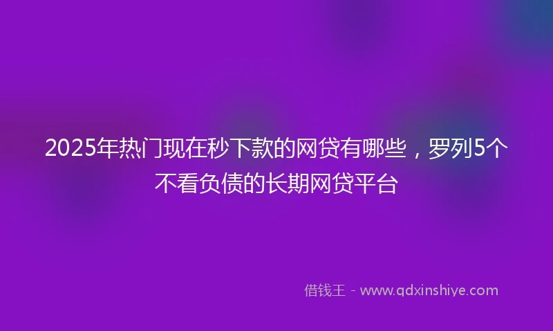 2025年热门现在秒下款的网贷有哪些，罗列5个不看负债的长期网贷平台