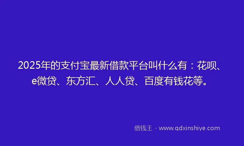 2025年的支付宝最新借款平台叫什么有：花呗、e微贷、东方汇、人人贷、百度有钱花等。
