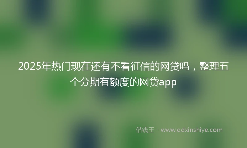 2025年热门现在还有不看征信的网贷吗，整理五个分期有额度的网贷app
