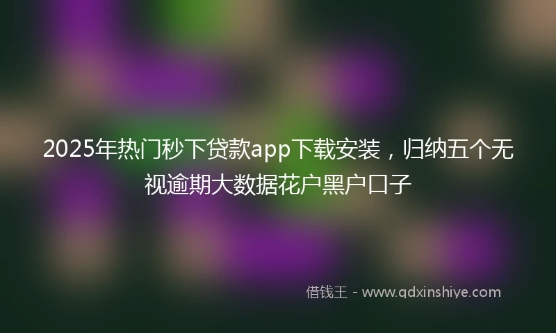 2025年热门秒下贷款app下载安装，归纳五个无视逾期大数据花户黑户口子