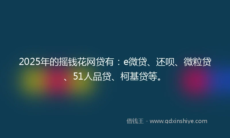 2025年的摇钱花网贷有：e微贷、还呗、微粒贷、51人品贷、柯基贷等。