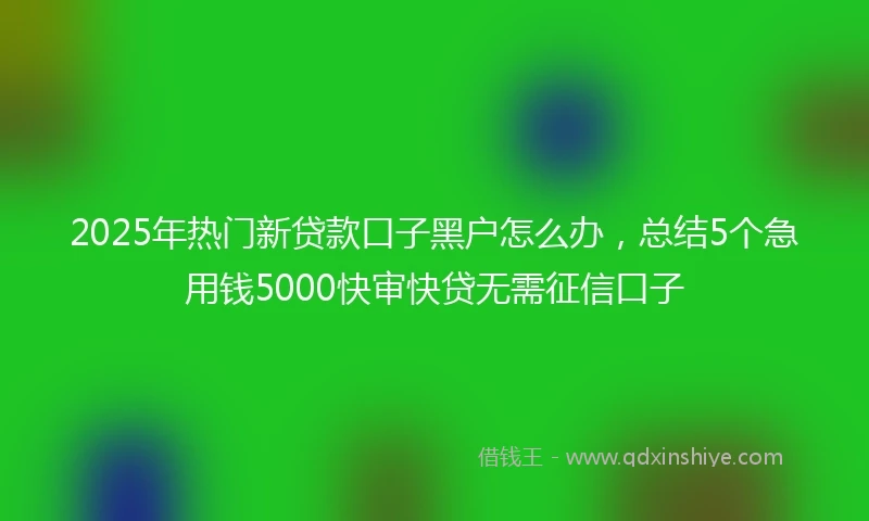 2025年热门新贷款口子黑户怎么办，总结5个急用钱5000快审快贷无需征信口子