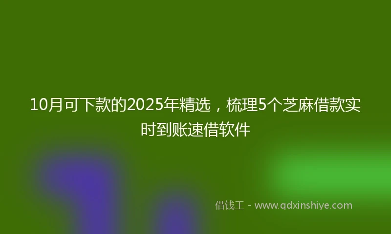 10月可下款的2025年精选，梳理5个芝麻借款实时到账速借软件