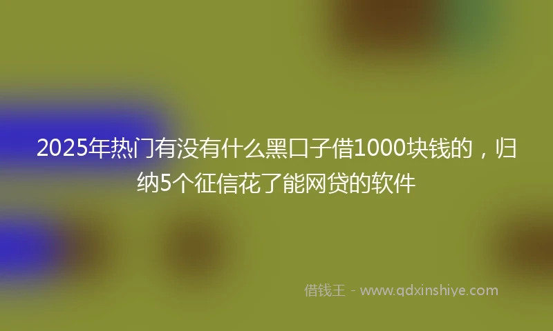 2025年热门有没有什么黑口子借1000块钱的，归纳5个征信花了能网贷的软件
