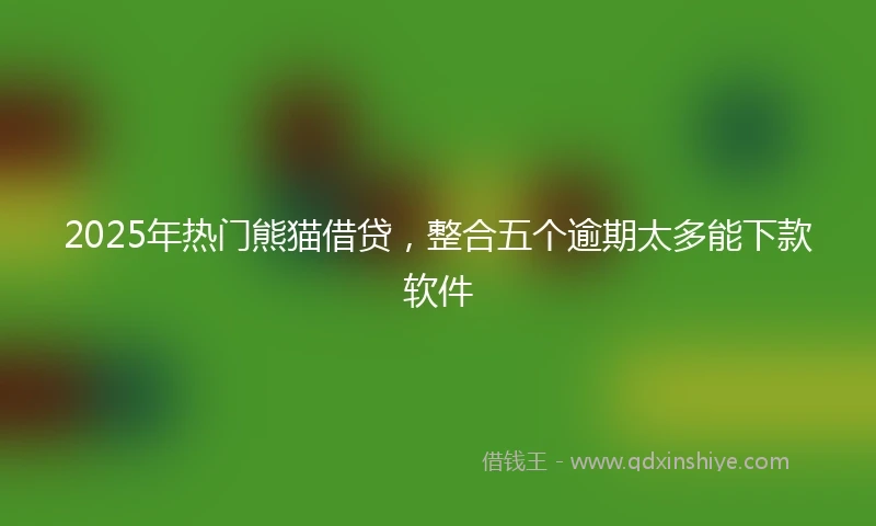 2025年热门熊猫借贷，整合五个逾期太多能下款软件