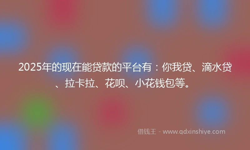 2025年的现在能贷款的平台有：你我贷、滴水贷、拉卡拉、花呗、小花钱包等。