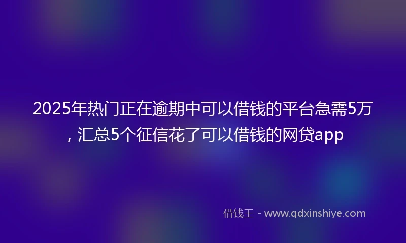 2025年热门正在逾期中可以借钱的平台急需5万，汇总5个征信花了可以借钱的网贷app