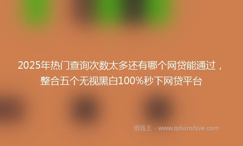 2025年热门查询次数太多还有哪个网贷能通过，整合五个无视黑白100%秒下网贷平台